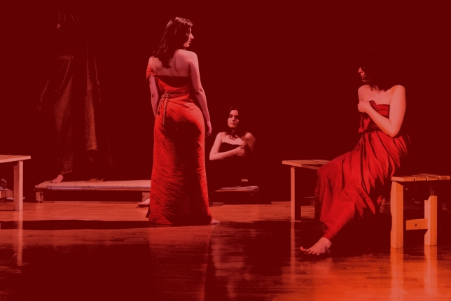 Foto di Corso breve | Laboratorio tematico: le figure femminili nell'Odissea 